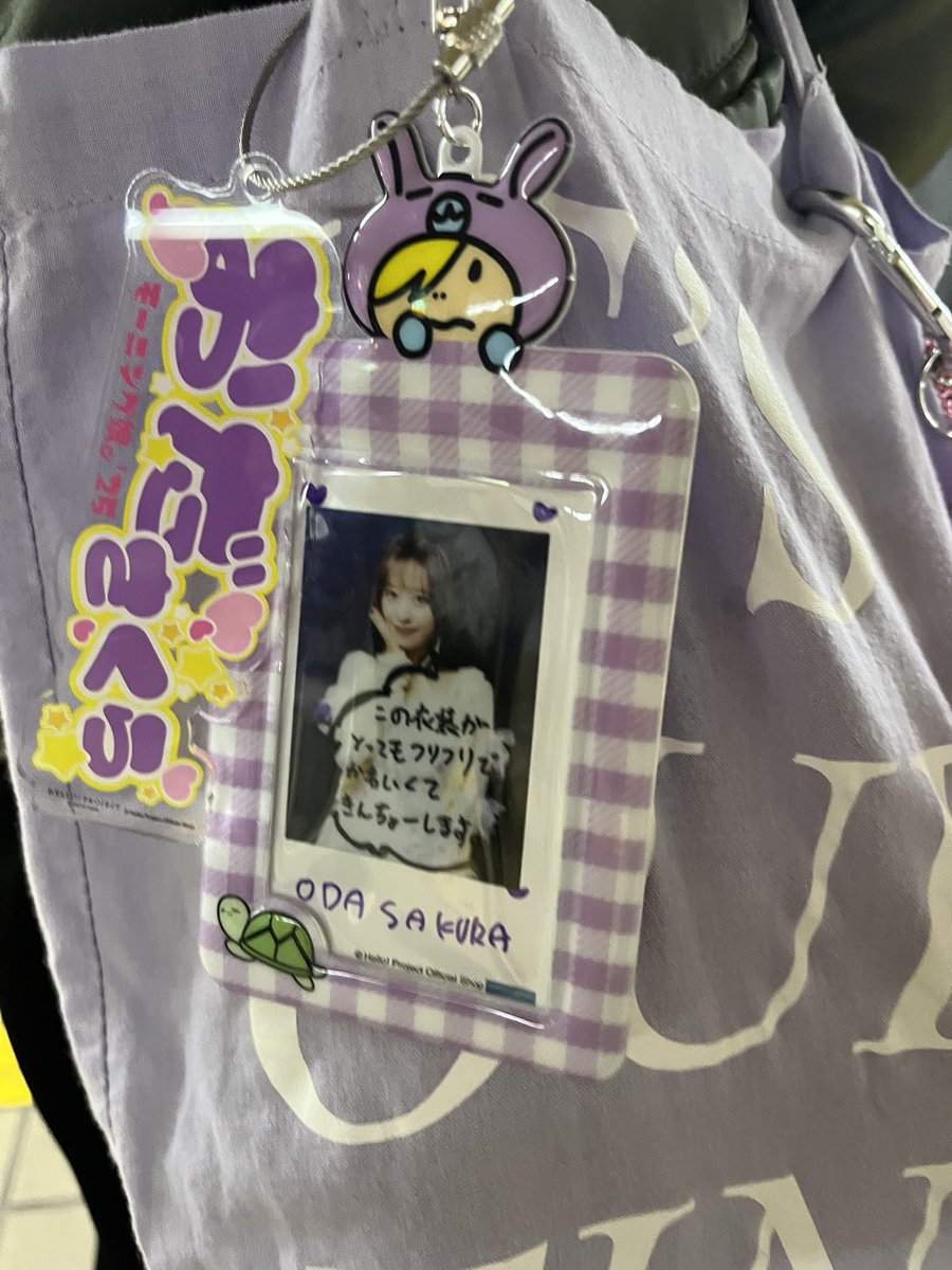 まるまるちゃん tweet media