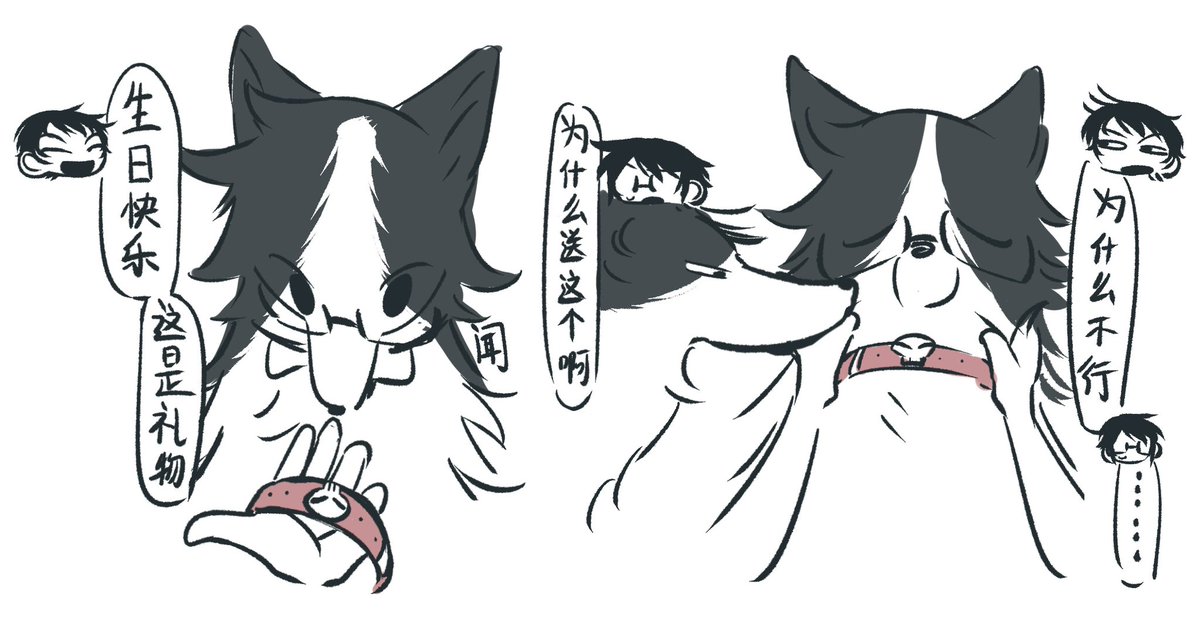 qizi26217's tweet photo. 🐾 https://t.co/ymuvPP8QHF