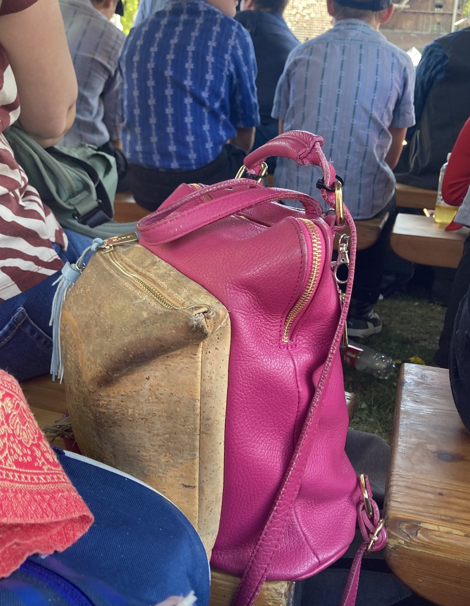 Felizitas Fluri-Bischof SVPlerin tweet media