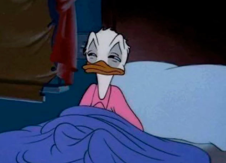 KrisDobs tweet media