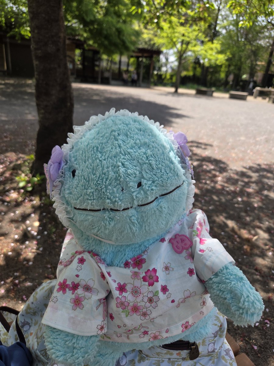 _myaasan's tweet photo. ご無沙汰しております。
娘ちゃんの小学校入学式やら、繁忙期やらでバタバタで離れておりました❀.*ﾟ
入学式後のお祝いランチには3ぬんとも連れて行きました🩵
あとは、息子くんとのお散歩に付いてきてもらったり🩵
あと、ほぼ勢いでSwitch 2が我が家に来て、ぽこポケ始めました✌️✨ https://t.co/WTnFTCQmIS