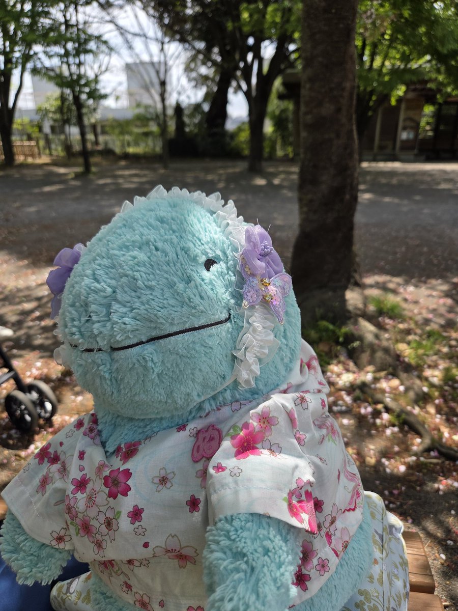 _myaasan's tweet photo. ご無沙汰しております。
娘ちゃんの小学校入学式やら、繁忙期やらでバタバタで離れておりました❀.*ﾟ
入学式後のお祝いランチには3ぬんとも連れて行きました🩵
あとは、息子くんとのお散歩に付いてきてもらったり🩵
あと、ほぼ勢いでSwitch 2が我が家に来て、ぽこポケ始めました✌️✨ https://t.co/WTnFTCQmIS