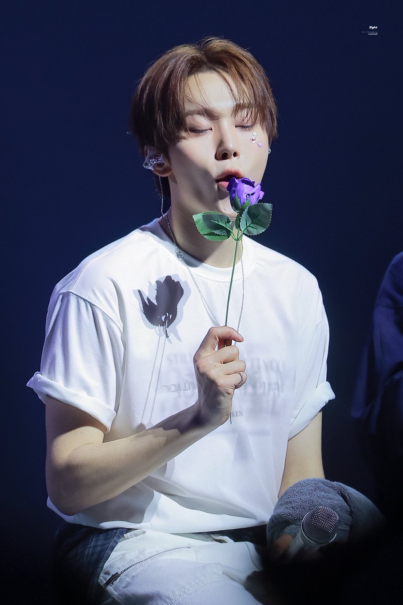 𝑠𝑖𝑔ℎ𝑡 tweet media