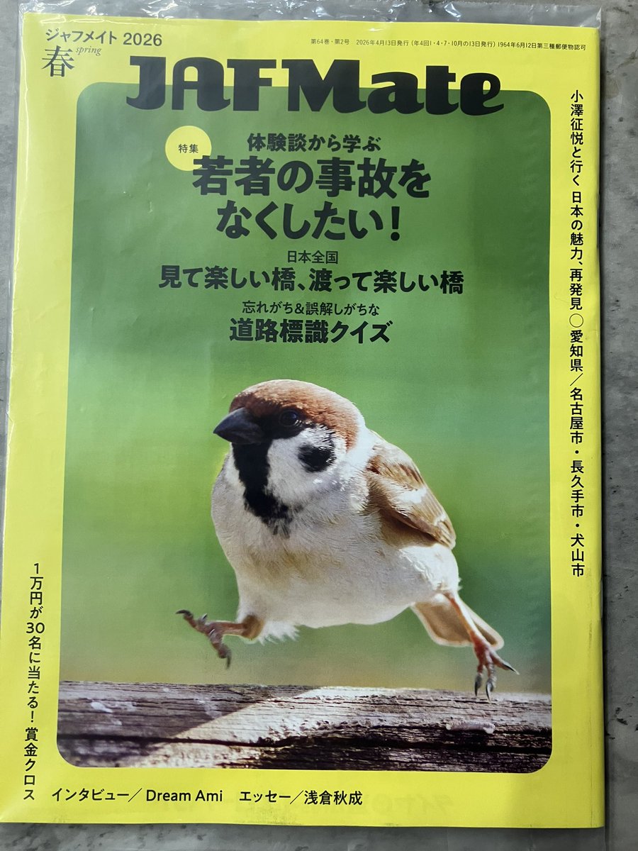 ピジョニー🕊 tweet media