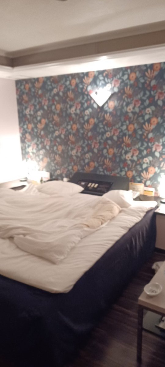 ラブホテル

ゴルドーグループ