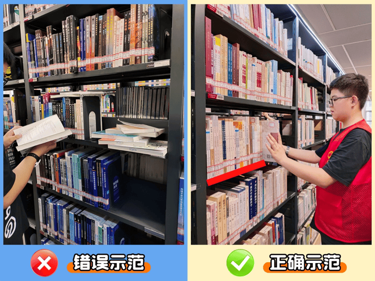 Anne Plamondon tweet media