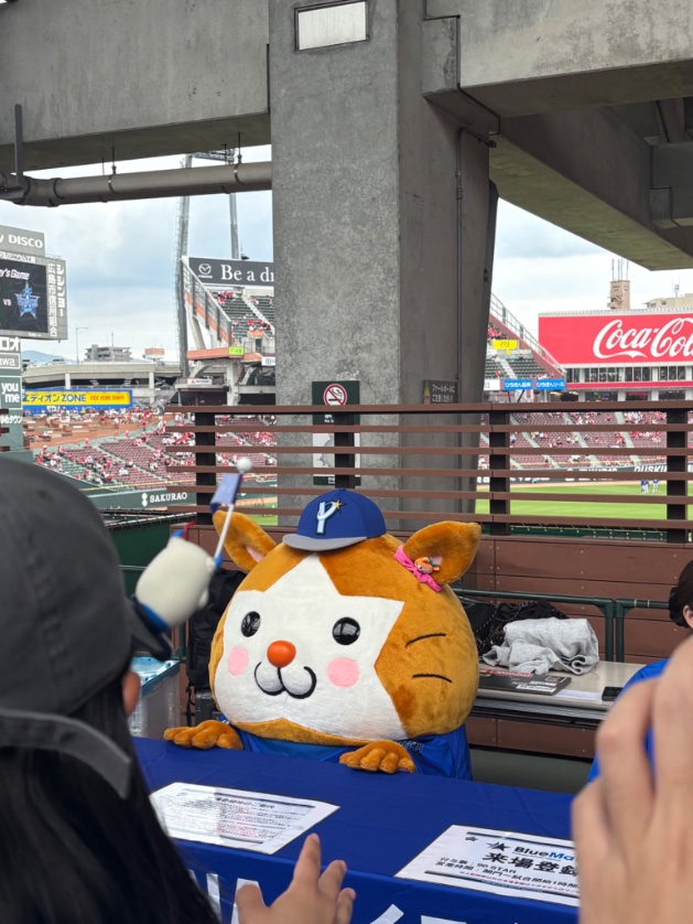 律（りつ） tweet media