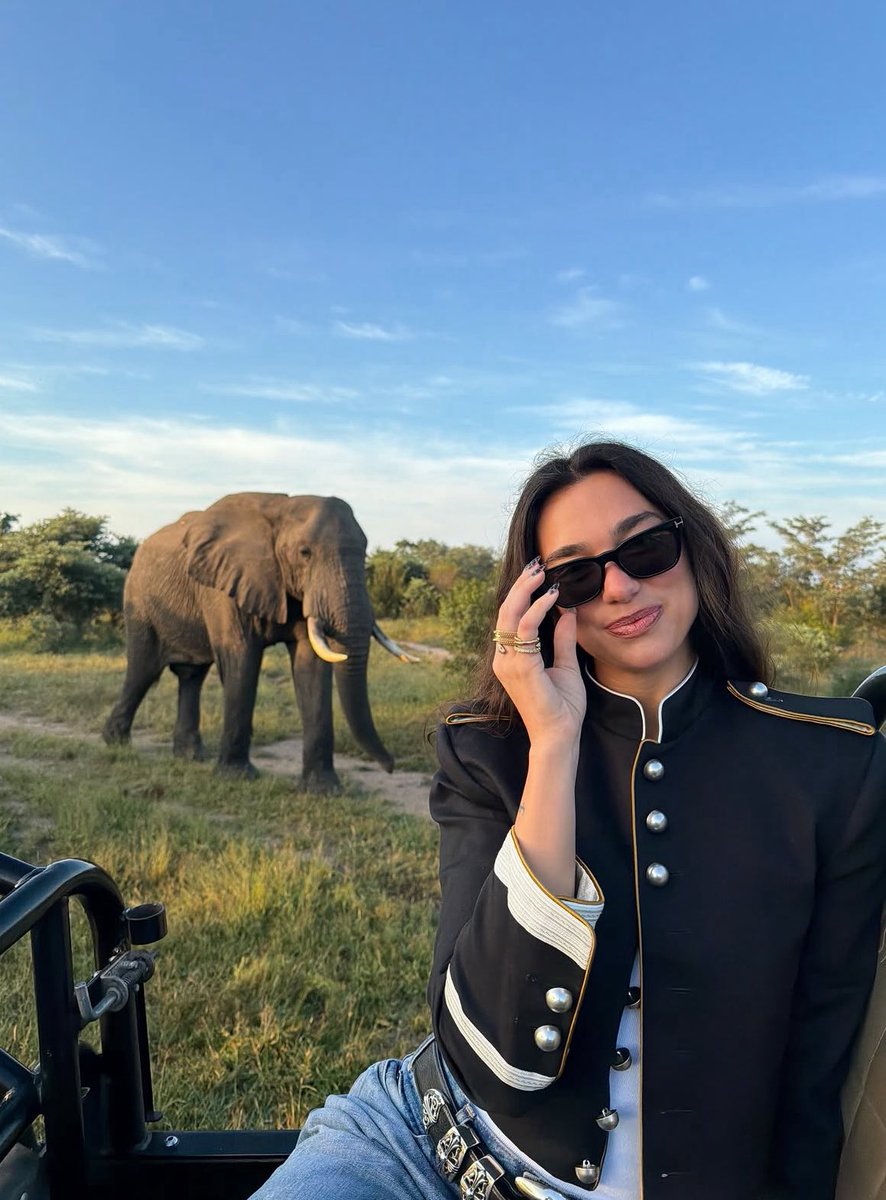 ser fã da dua lipa é meio engraçado
todo mundo achando que ela tava sumida pq tava trancada em estúdios gravando música quando na verdade ela só tava turistando um safari na africa do sul mesmo