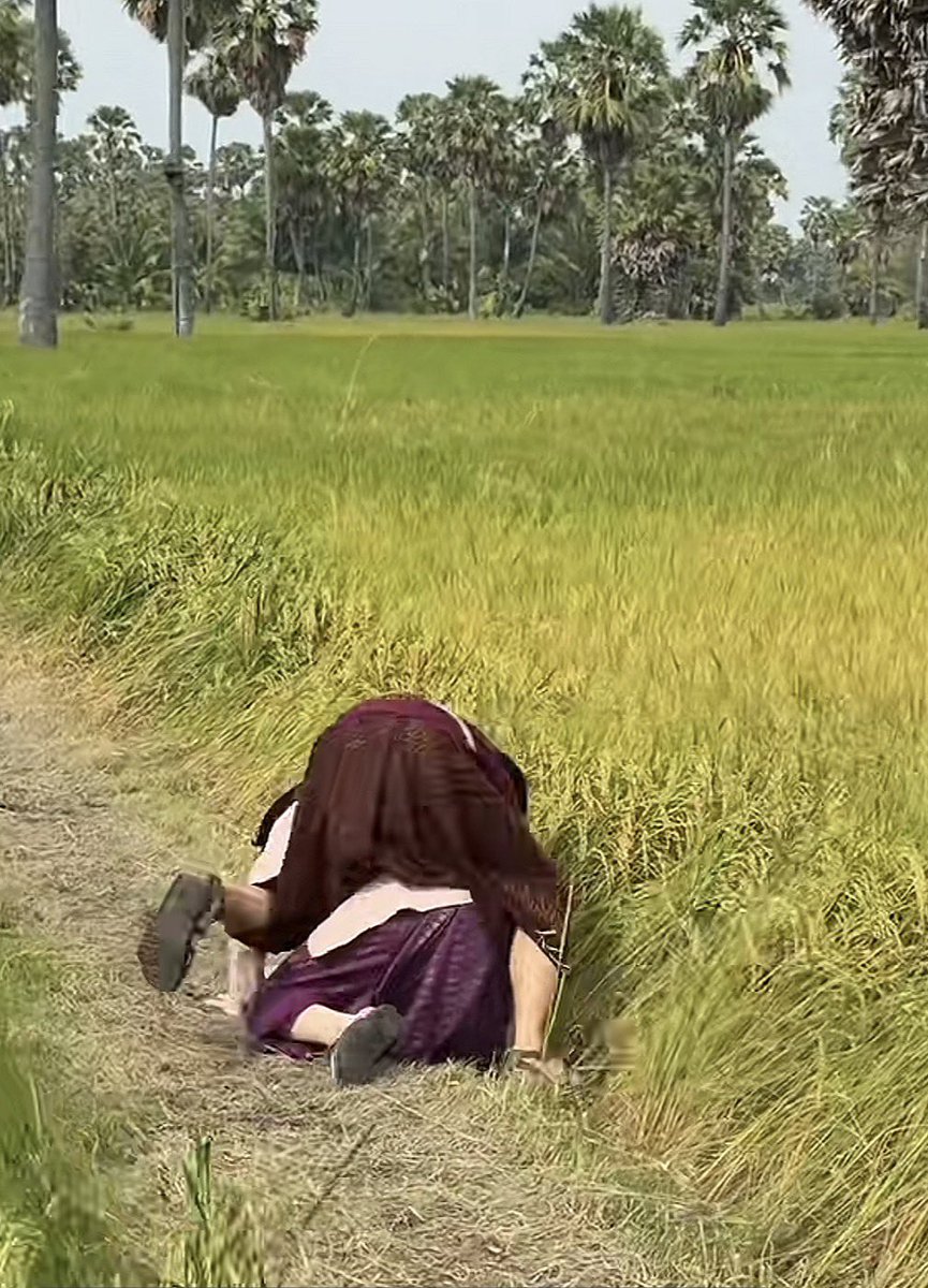 🥚CPPK tweet media