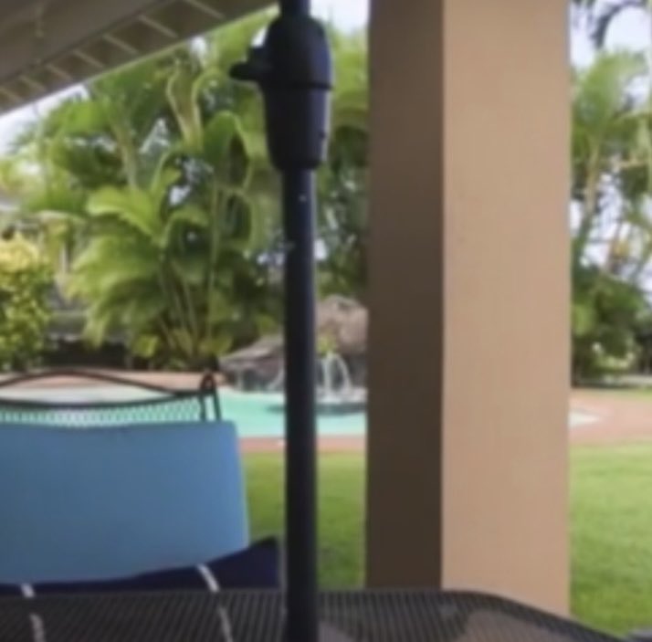 tukino.2024.11 tweet media