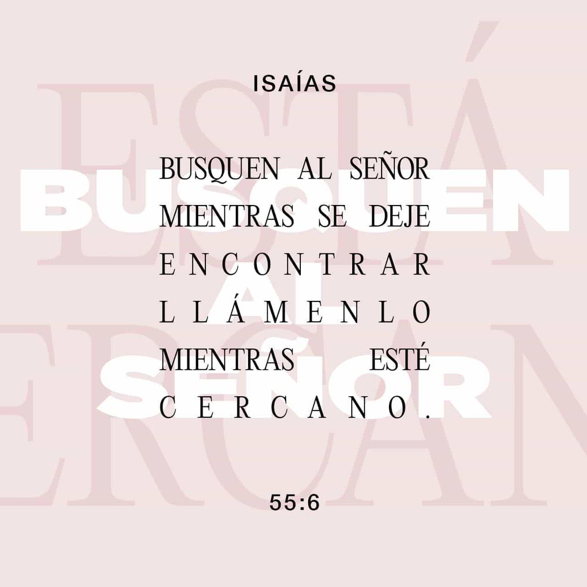 Luis Antonio Barreto tweet media