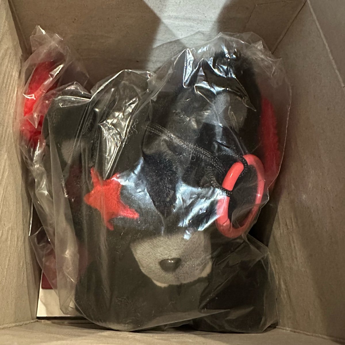 🥕🎀 tweet media