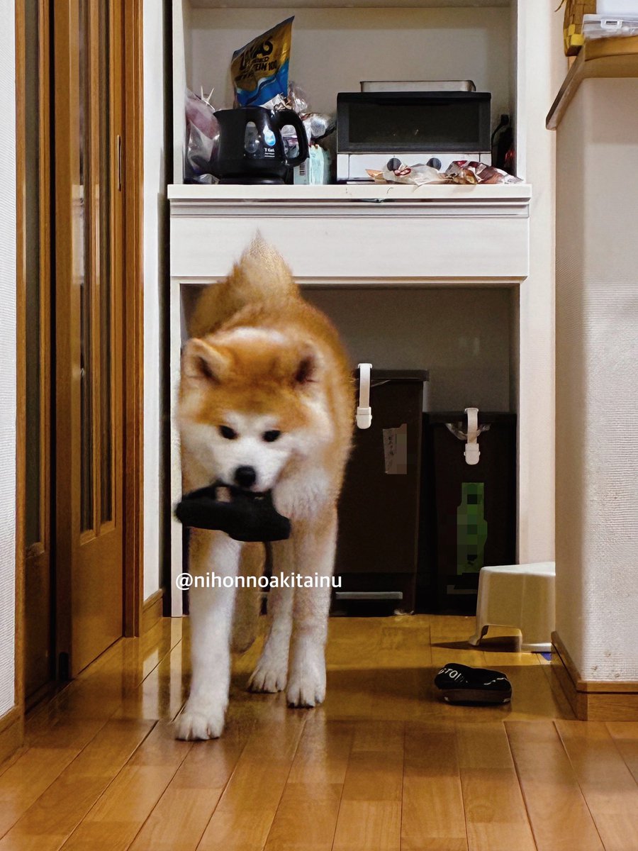 ドラクエふじこ tweet media