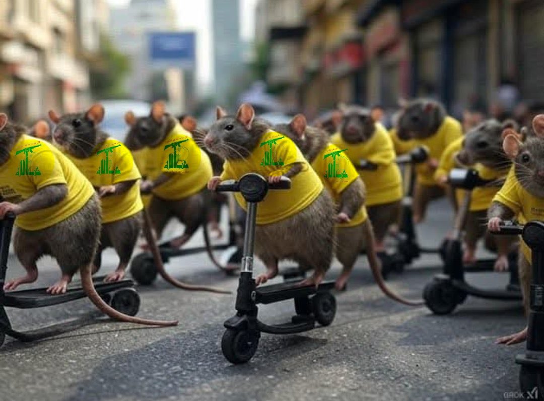 𐤓𐤌𐤍 tweet media