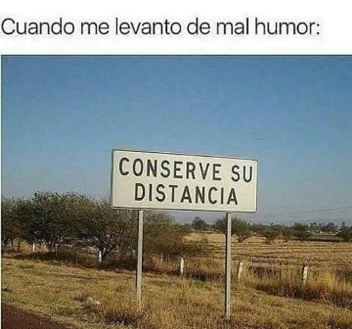 Sara💛🌻 tweet media