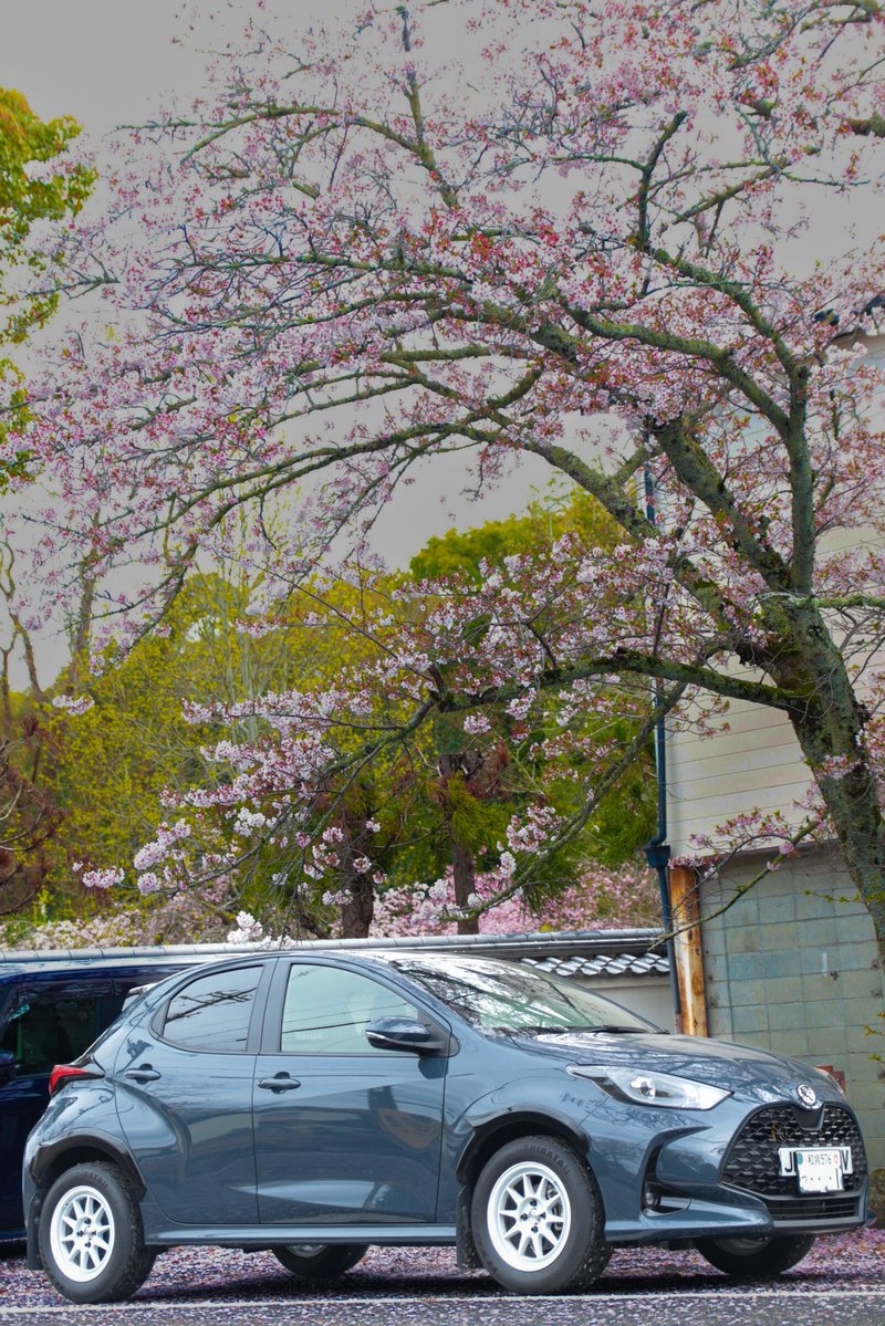 3Alto6's tweet image. 【固定用】
トヨタヤリスをマツダヤリス（mazda2hybrid）にする為に散財中
時間かかるけど完成までお待ちください🙏
 #YARIS  #MAZDA2HYBRID  #TOYOTA #MAZDA