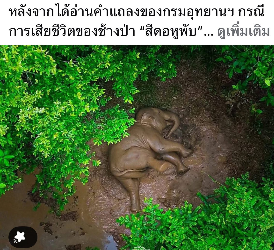 GolfyTT☕ tweet media