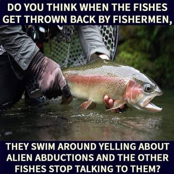 Rita Otis🥀 tweet media