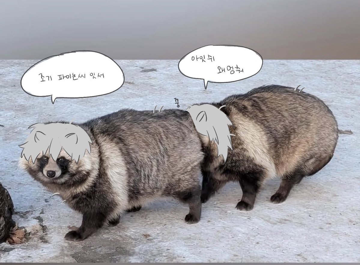 ᶜᴴᴬᴵᴺ tweet media