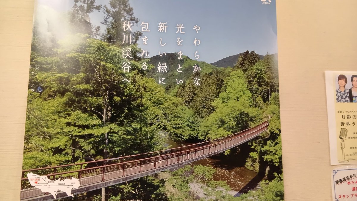 🌈さすらいうさぎスズキさん♪(*≧∀≦*) tweet media