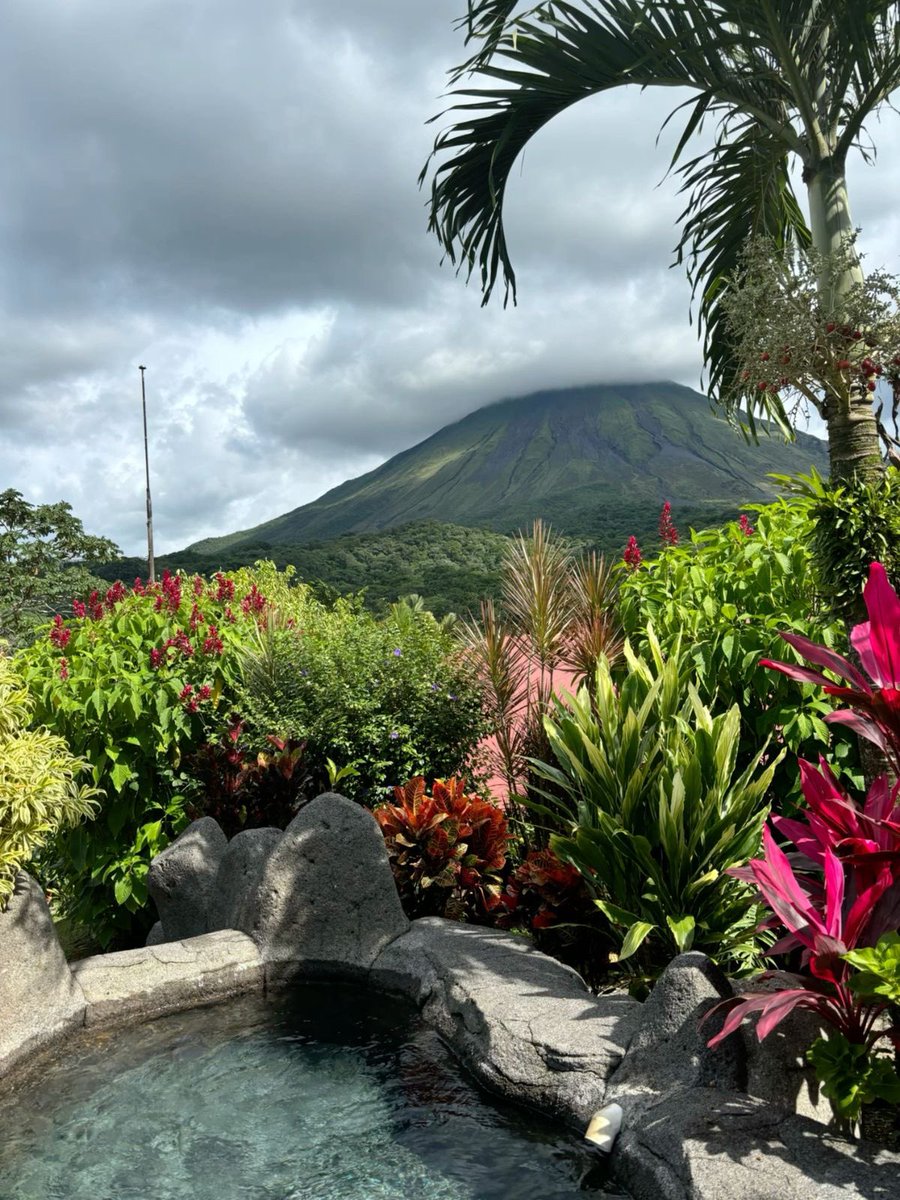 vistaaura tweet media