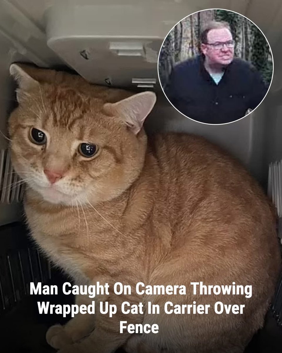 dominic dyer tweet media