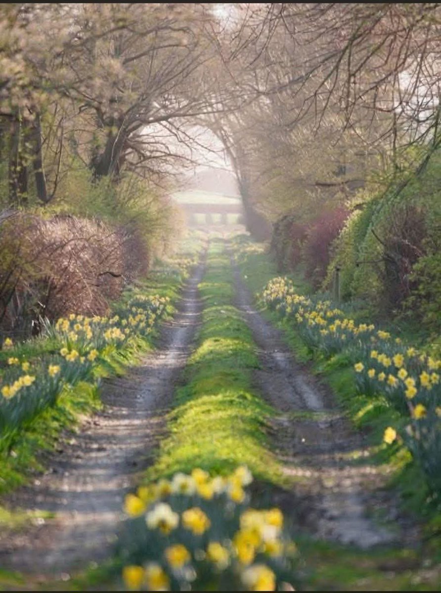 Johnny Cadillac tweet media