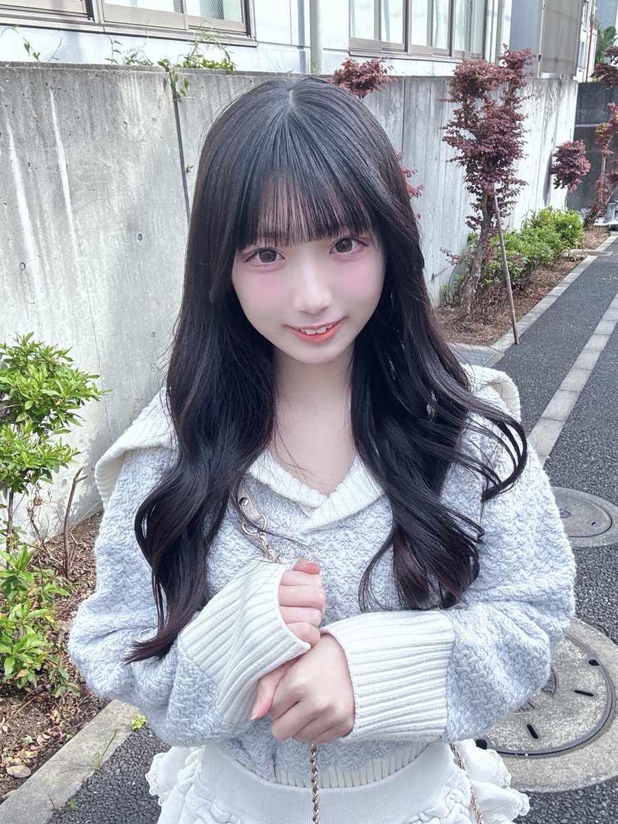 市川こころ｛ かすみ草とステラ ｝ tweet media