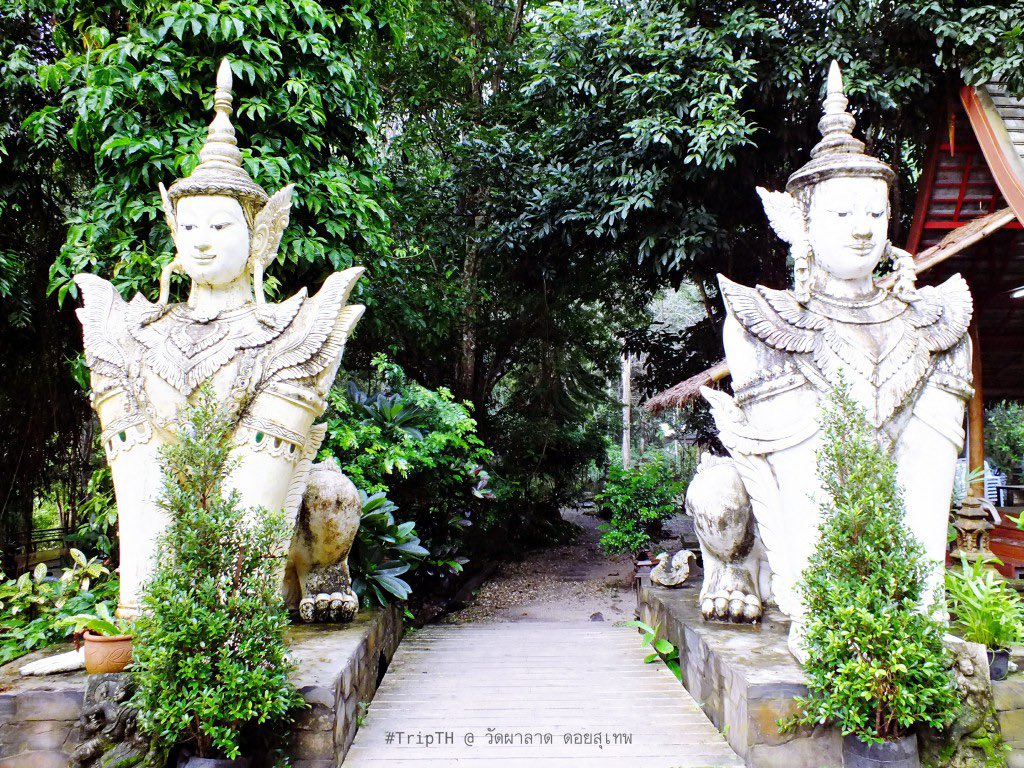 เอาไว้ขายหนังสือanxinMm tweet media