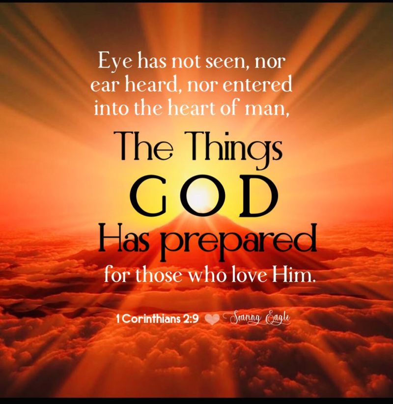 Living Waters NV tweet media