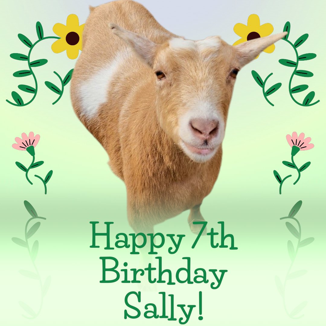 🐐Winston🌈Thatcher🌈Domino, Walnut, Jasper🐐 tweet media