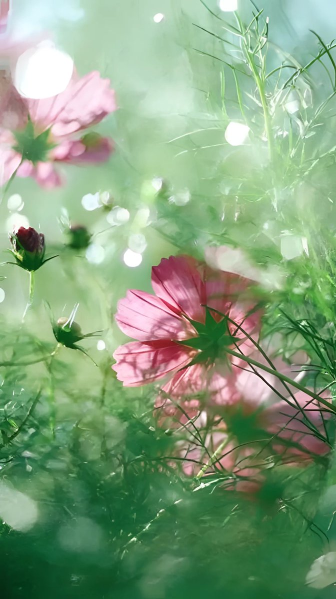 BeingWifeandMother tweet media