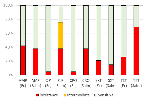 MicrobioSoc's tweet photo. Multidrug-resistant non-typhoidal Salmonella and Escherichia coli in imported poultry products in the Maldives. Published Open Access and fee-free in ACMI using a Publish and Read agreement: https://t.co/Aw2jrfphlH #PublishandRead #AccessMicro https://t.co/QQk7SAuPXq