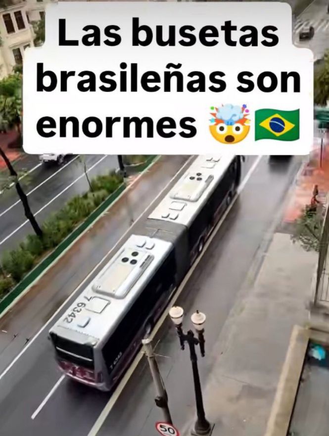 Van Grog tweet media