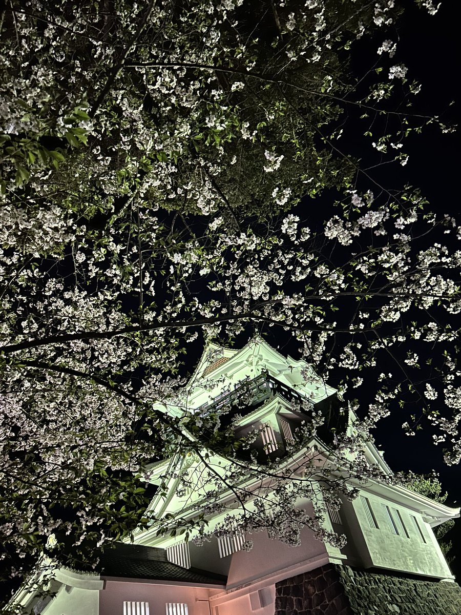 𝘺𝘶𝘯 tweet media