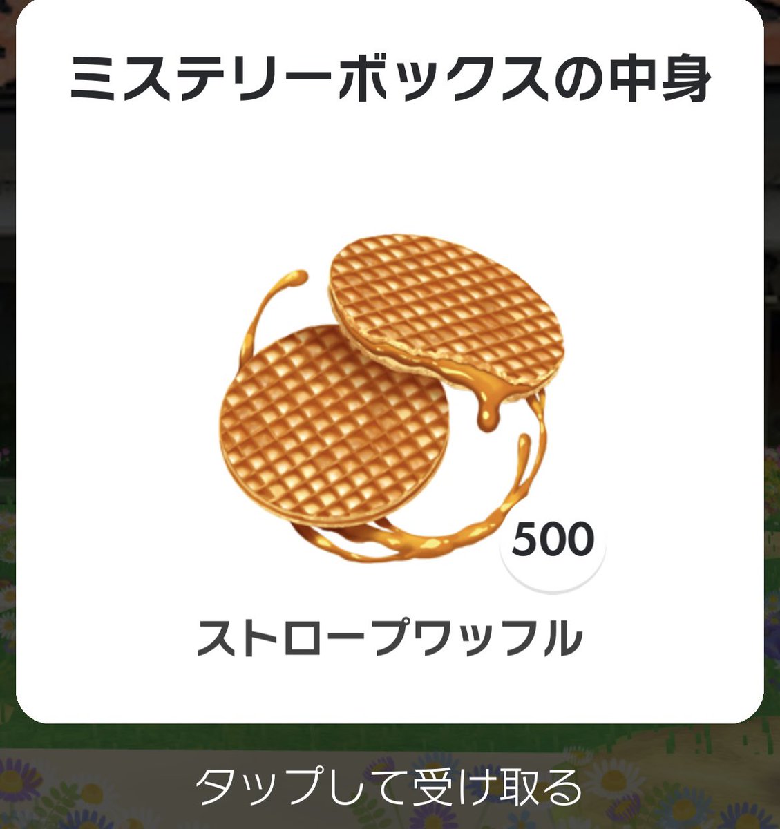 𝘺𝘶𝘯 tweet media