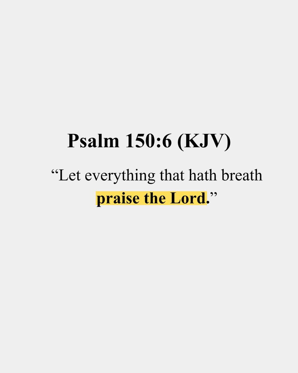 BillyHallowell's tweet image. If you’re still breathing, you still have a reason to praise. Don’t underestimate that simple truth today.

#PraiseTheLord #ChristianWorship #Gratitude #BibleVerse #Faith