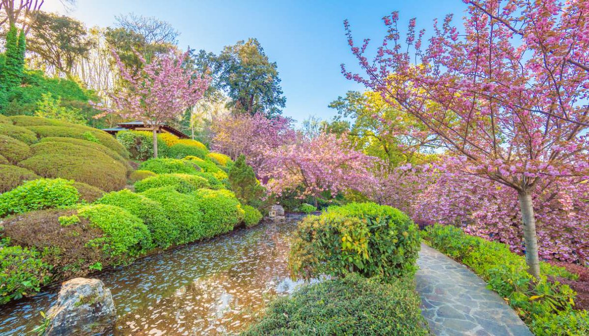 viaggiare_low_c's tweet image. L’Orto Botanico di Roma sulle pendici del Gianicolo: tra palme rare, fontane barocche e viali affascinanti
siviaggia.it/idee-di-viaggi…
#viaggiare #travel