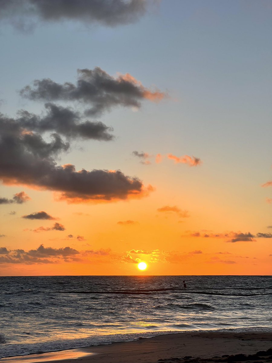 William Parker tweet media