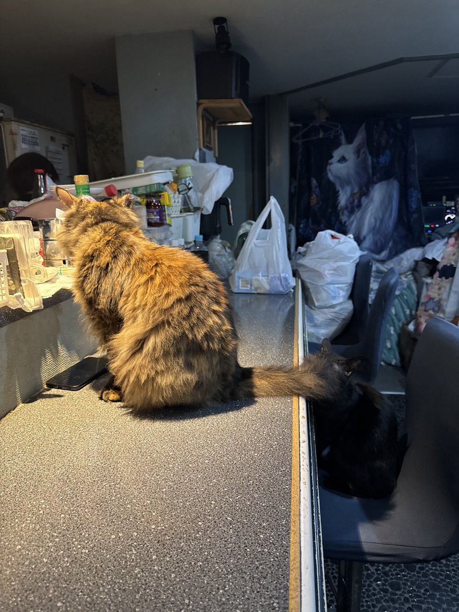 神みたいな飲み屋見つけてしまった🐈‍⬛