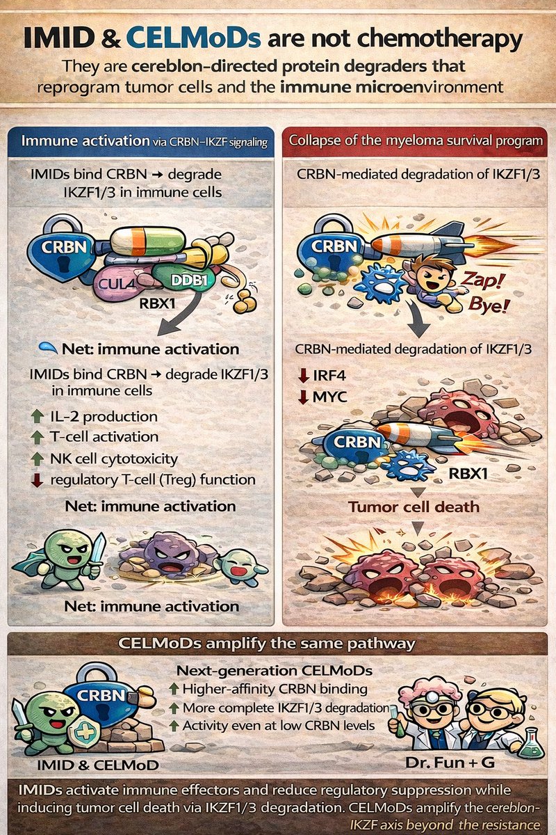 Henry C Fung MD FACP FRCPE | Myeloma & CART tweet media