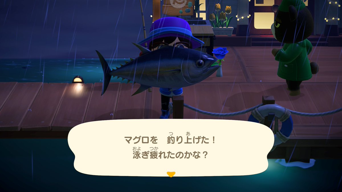 HiupenCrossing's tweet image. マグロをGET！🐟🍣
#あつ森 #ACNH