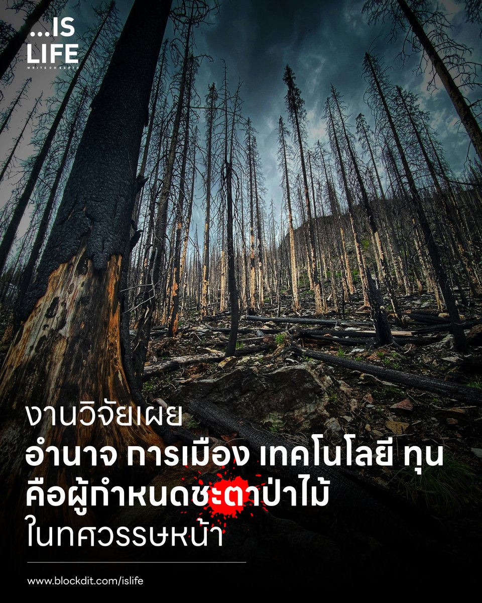 Islife.WriteonEarth tweet media