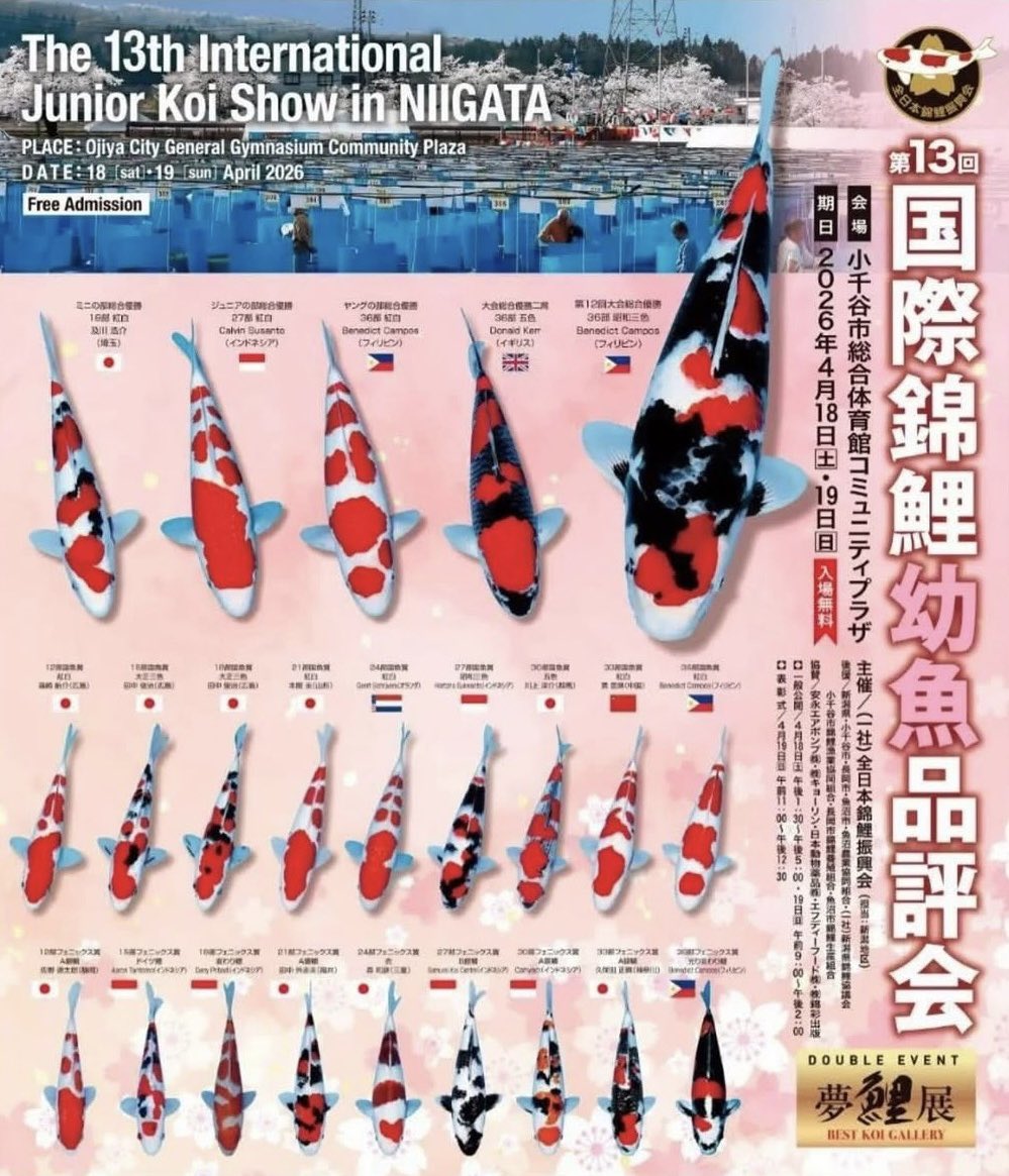 koi_com365's tweet photo. 明日まで！！ https://t.co/ondZfo5jIo