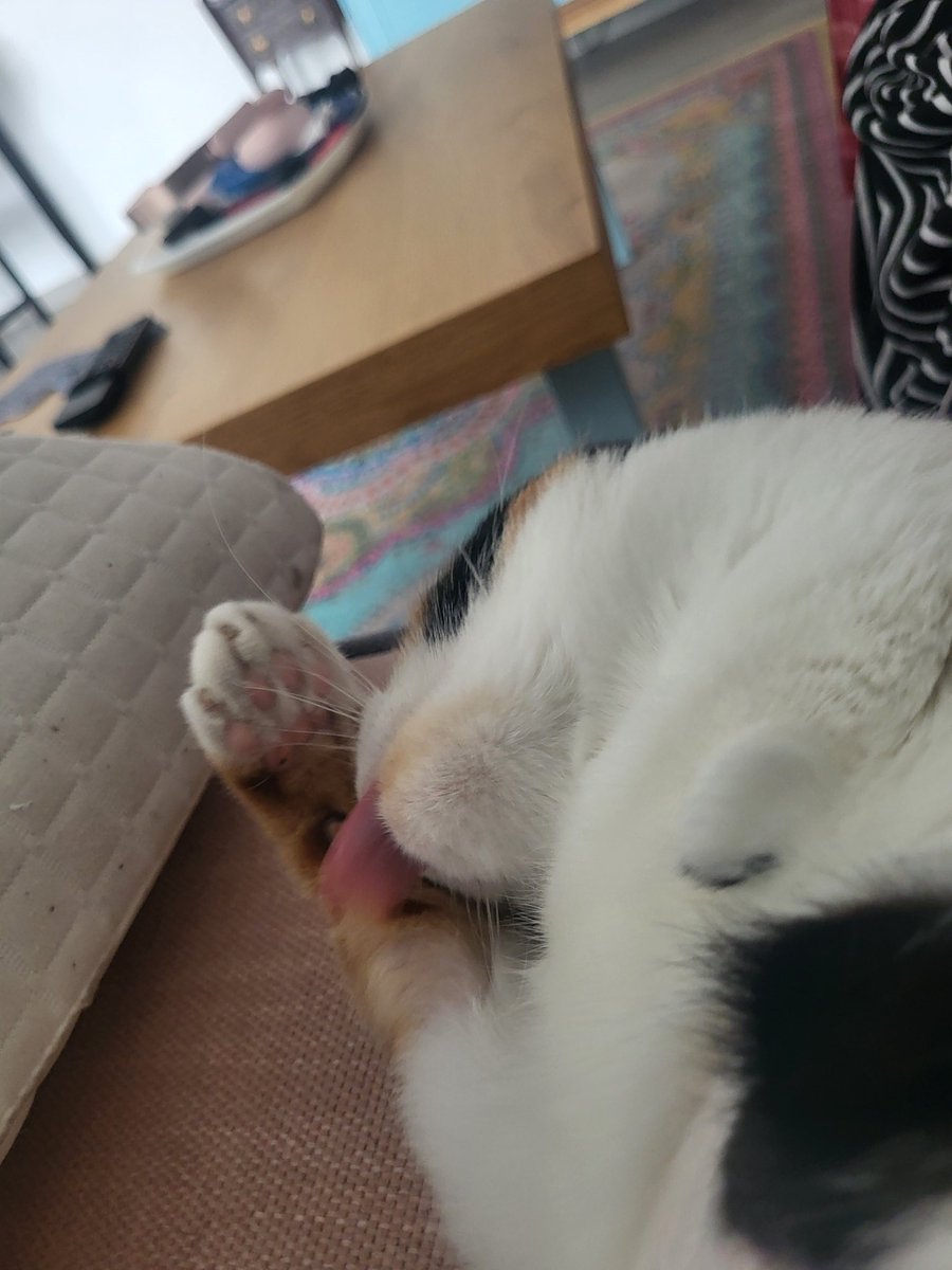 spaghetti_ts tweet media