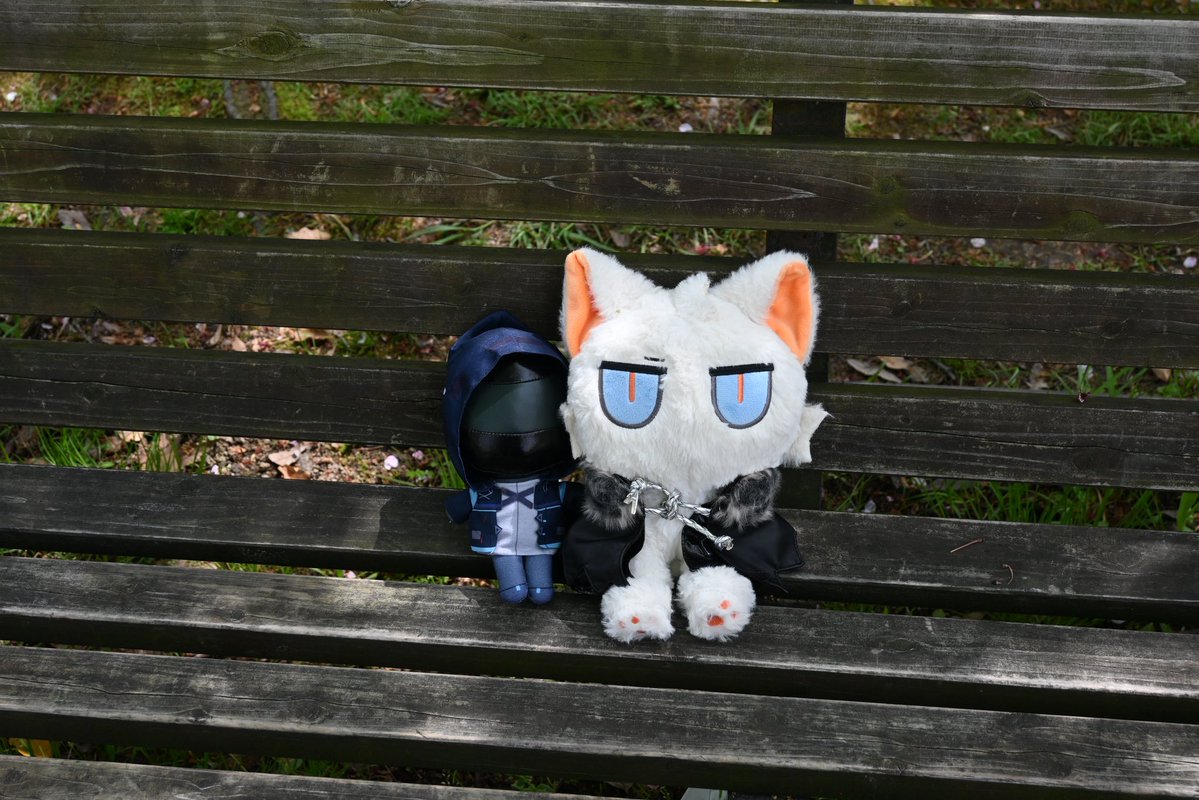 Mayuuda🌻☀️🍋 tweet media