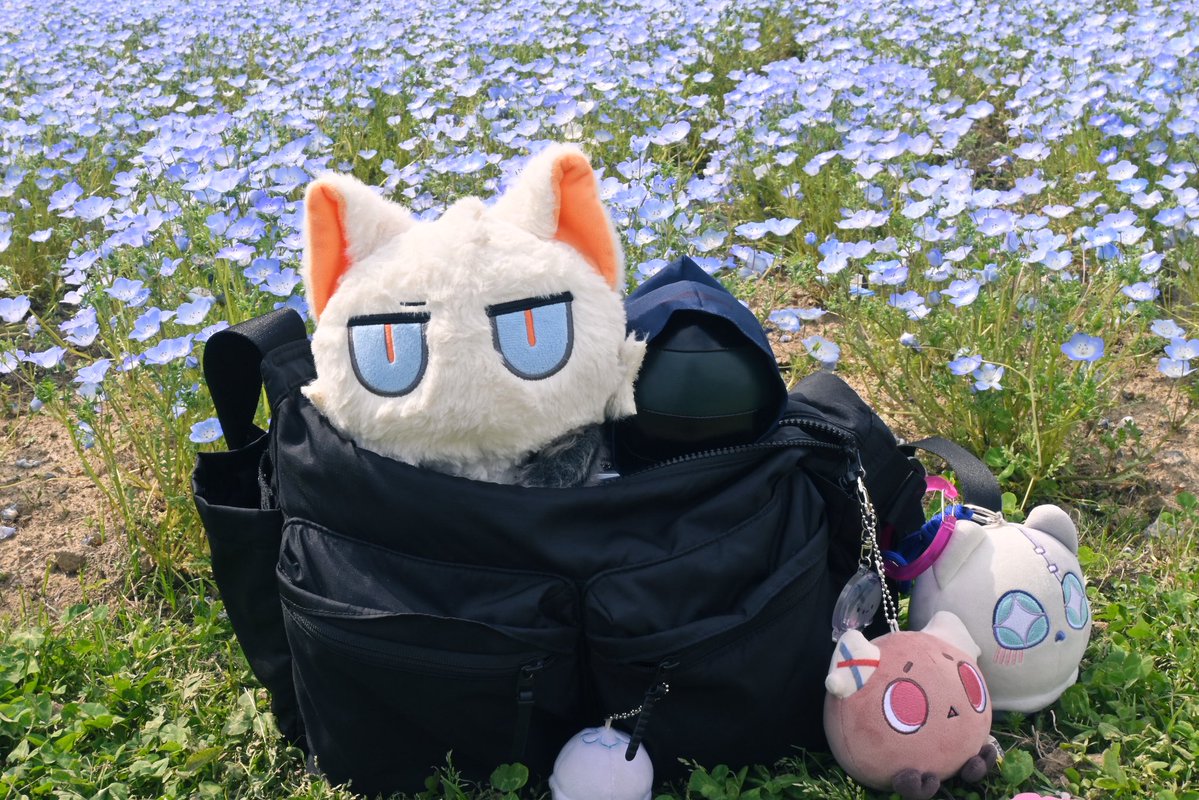 Mayuuda🌻☀️🍋 tweet media