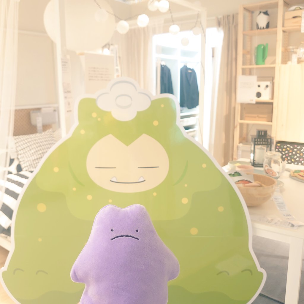 ちょこ ✦.* tweet media