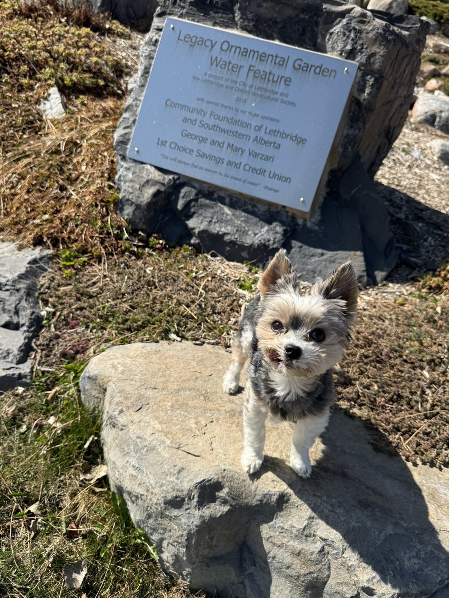 Cory & Gio 🐾🇨🇦 tweet media