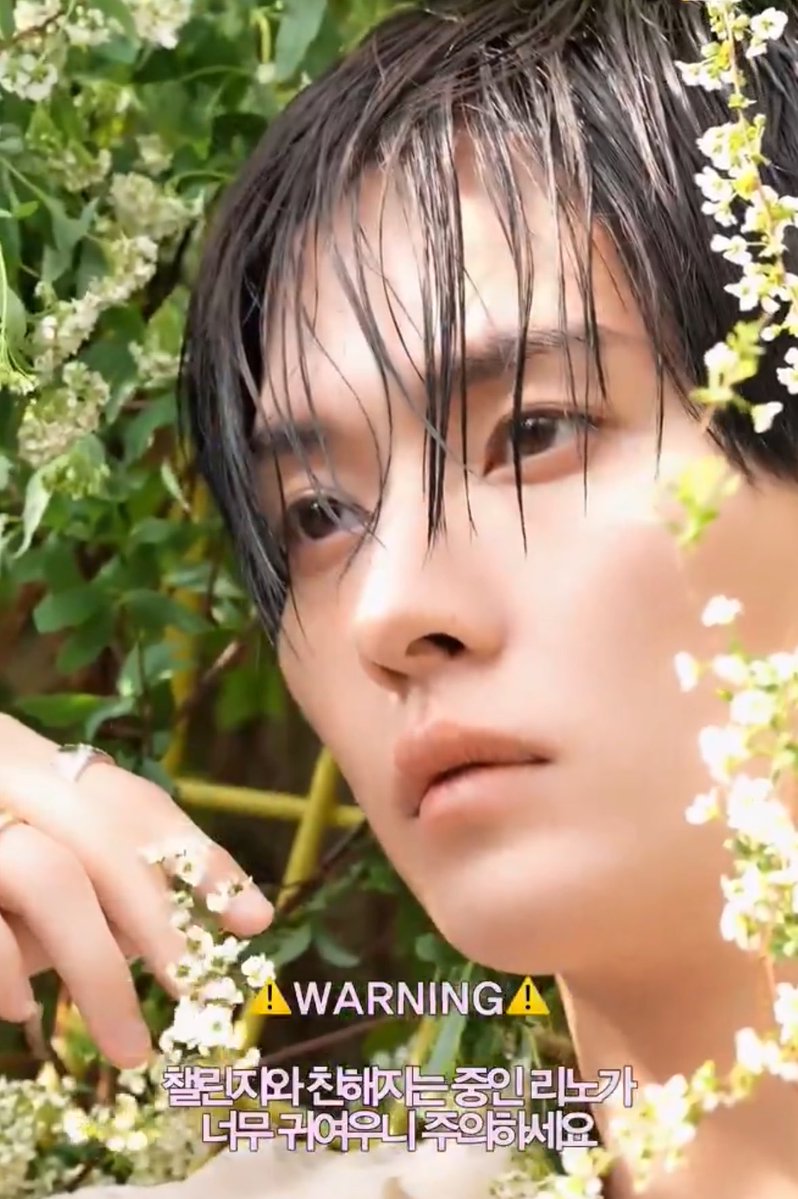 おもち tweet media